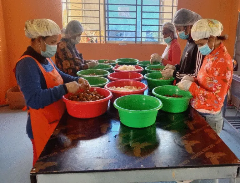 Fruit being prepared by hand